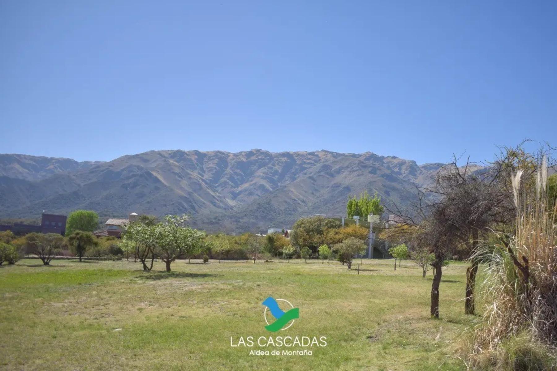 LOS MANDARINOS · Junín — foto 4