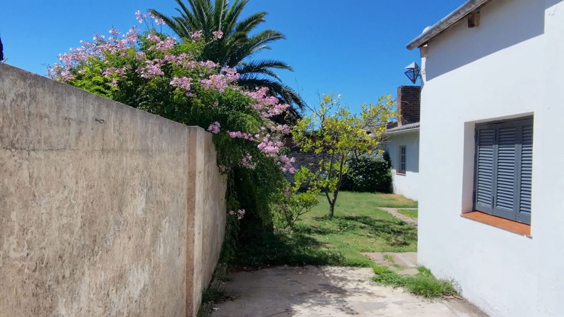 49 2953 · Necochea — foto 5