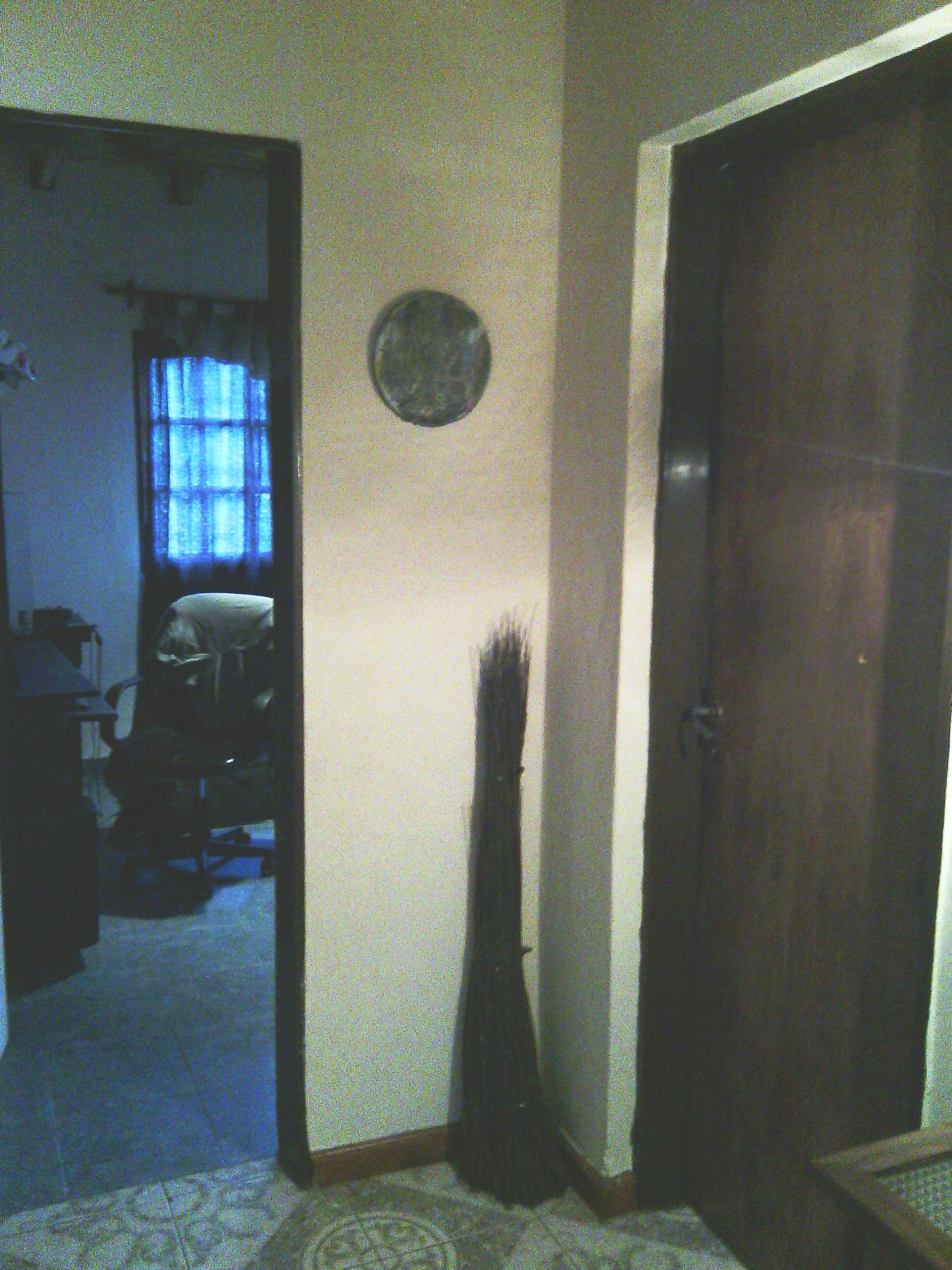 Montevideo 2100 · Tigre — foto 21