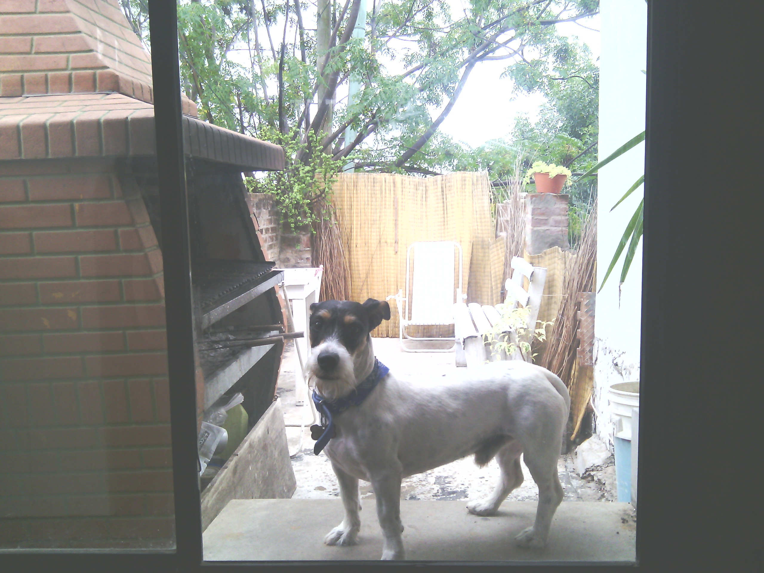 Montevideo 2100 · Tigre — foto 25
