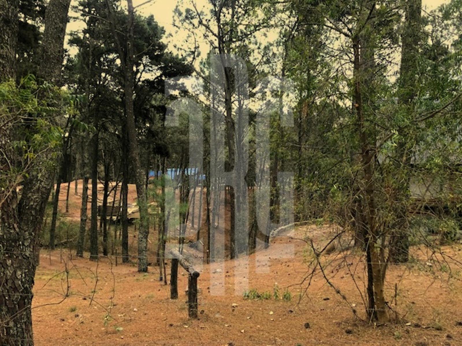 RP S271 - Cercano al Gaucho Urbano · Santa María — foto 12
