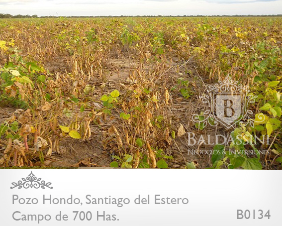 690 HAS. EN POZO HONDO - SANTIAGO DEL ESTERO - SOBRE RUTA 34 (AMBOS LADOS) · Jimenez — foto 4