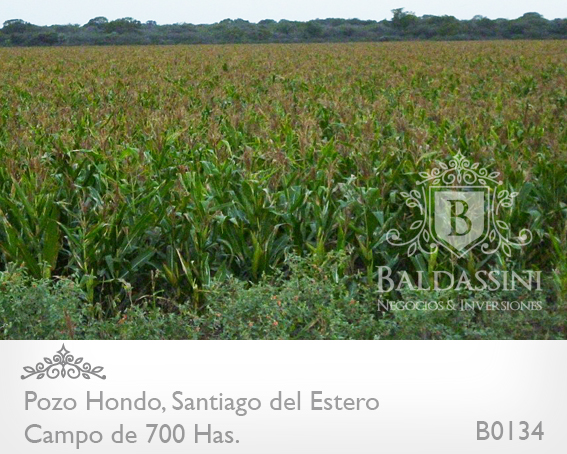 690 HAS. EN POZO HONDO - SANTIAGO DEL ESTERO - SOBRE RUTA 34 (AMBOS LADOS) · Jimenez — foto 5