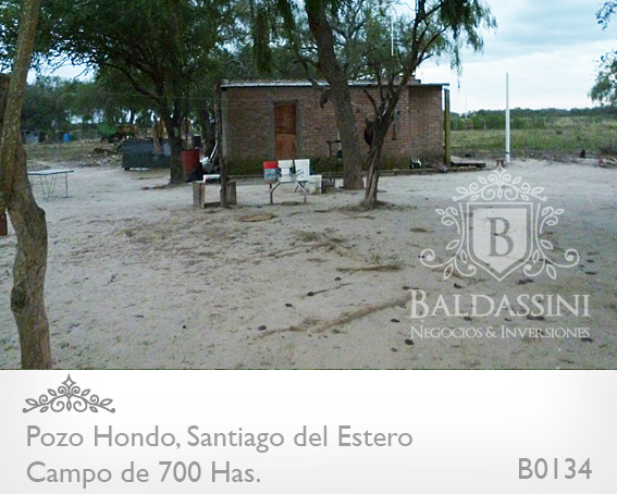 690 HAS. EN POZO HONDO - SANTIAGO DEL ESTERO - SOBRE RUTA 34 (AMBOS LADOS) · Jimenez — foto 6