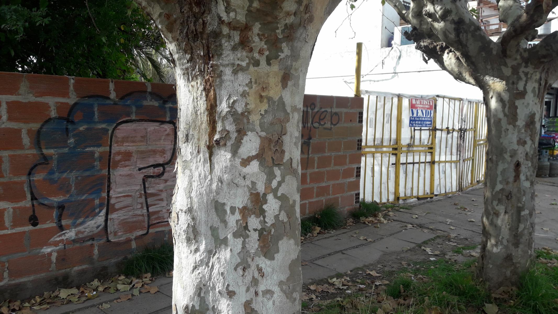 fournier al 3100 · Escobar — foto 5
