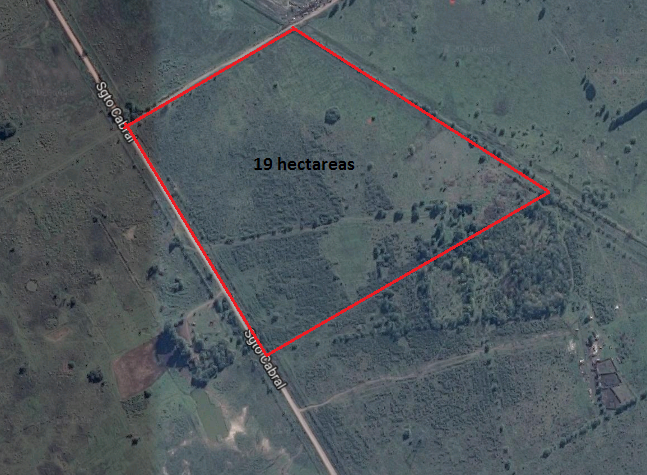 Campo de 19 hectáreas - Canning