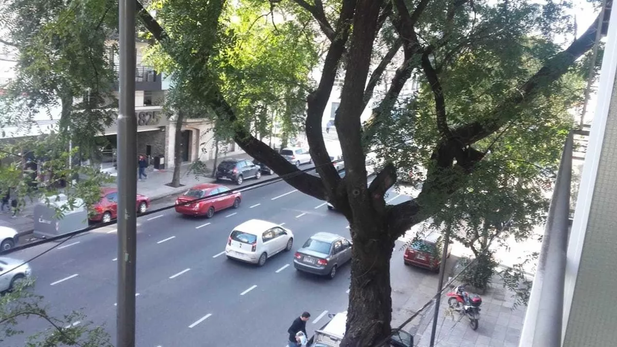 MONOAMBIENTE Davel Sn, Caballito ALTURA DIRECTORIO 1800