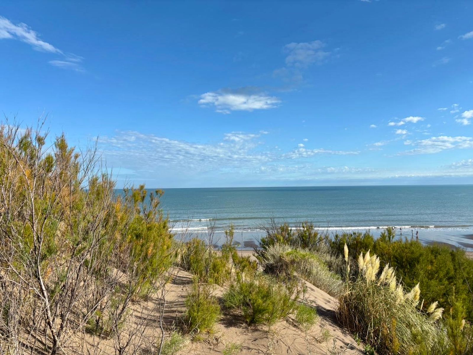 Costanera y Punta Indio · Monte Hermoso — foto 3