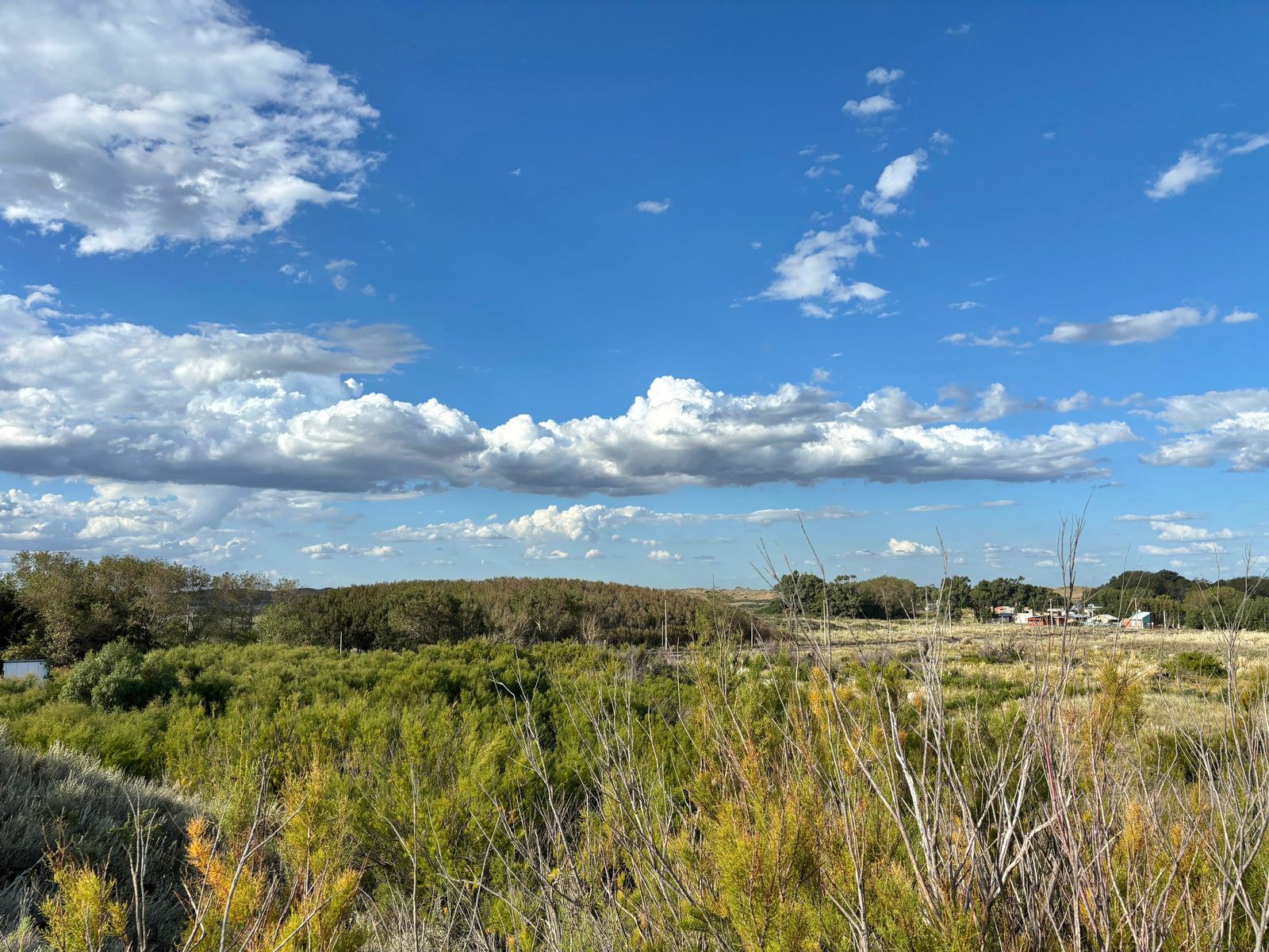 Costanera y Punta Indio · Monte Hermoso — foto 5