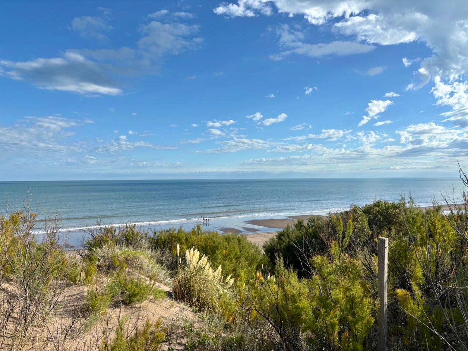 Costanera y Punta Indio · Monte Hermoso — foto 7