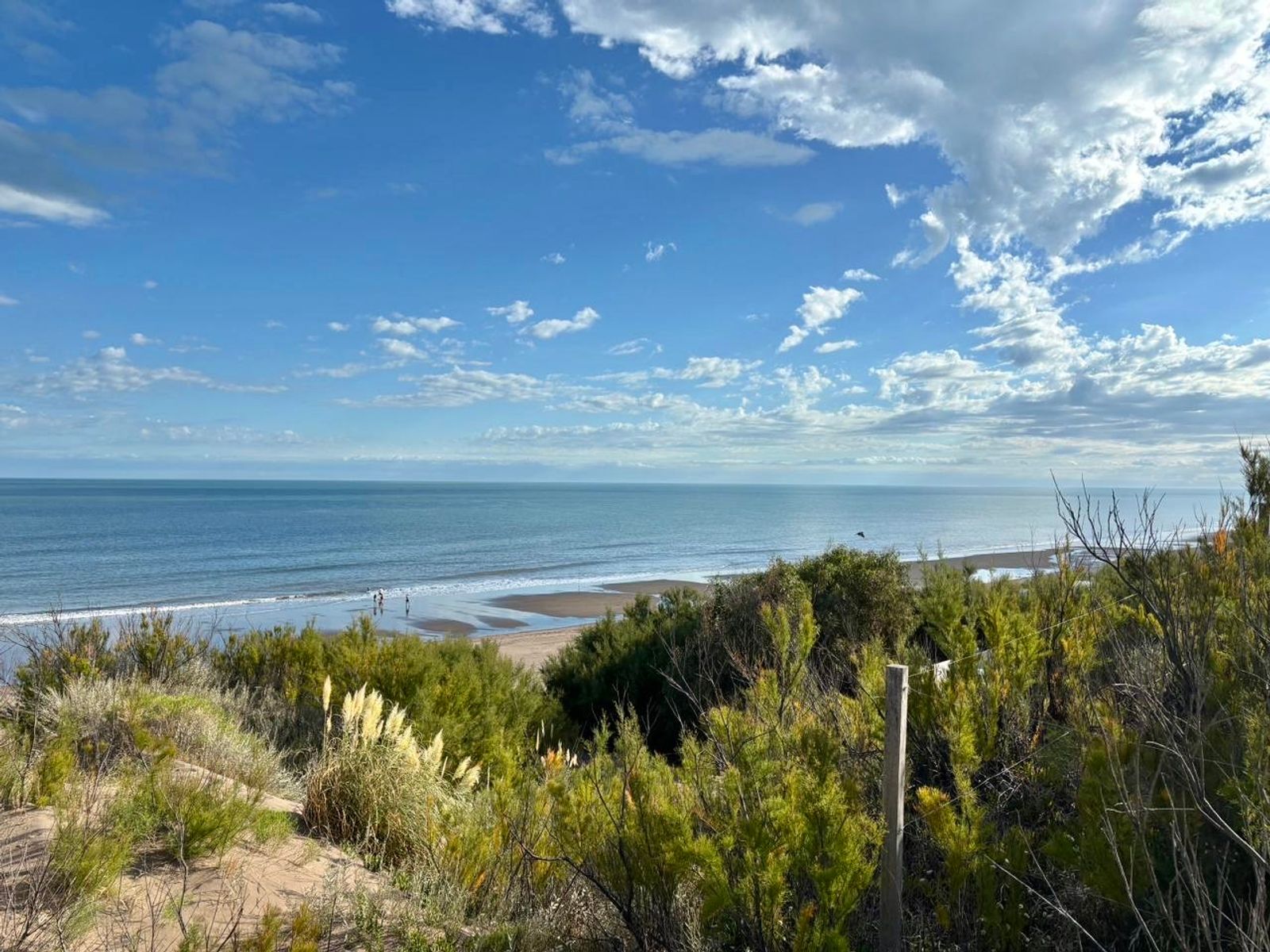 Costanera y Punta Indio · Monte Hermoso — foto 8