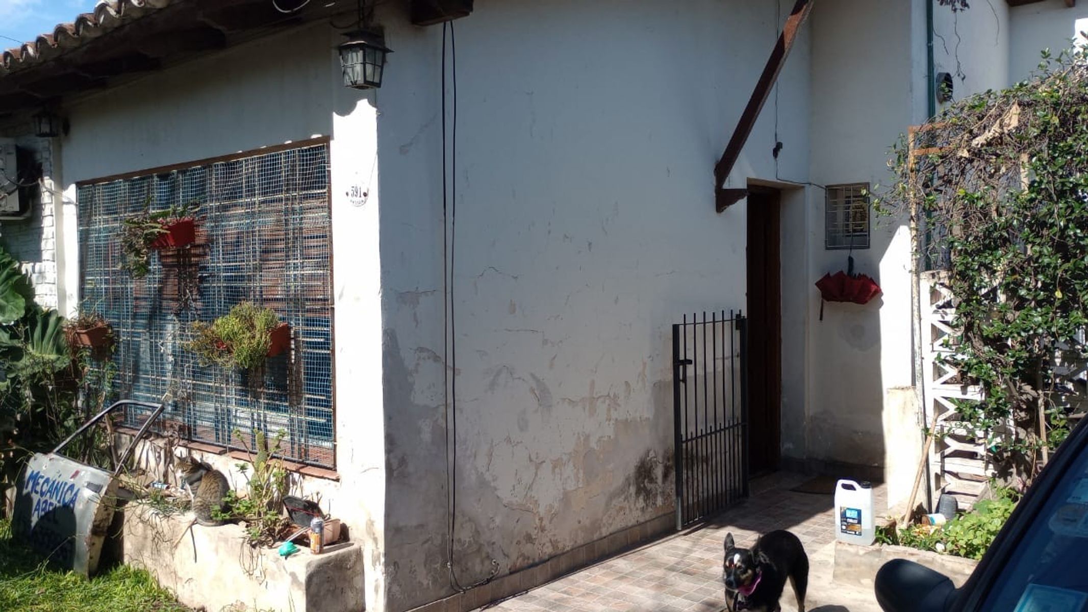 ANGORA 591 · Morón — foto 14