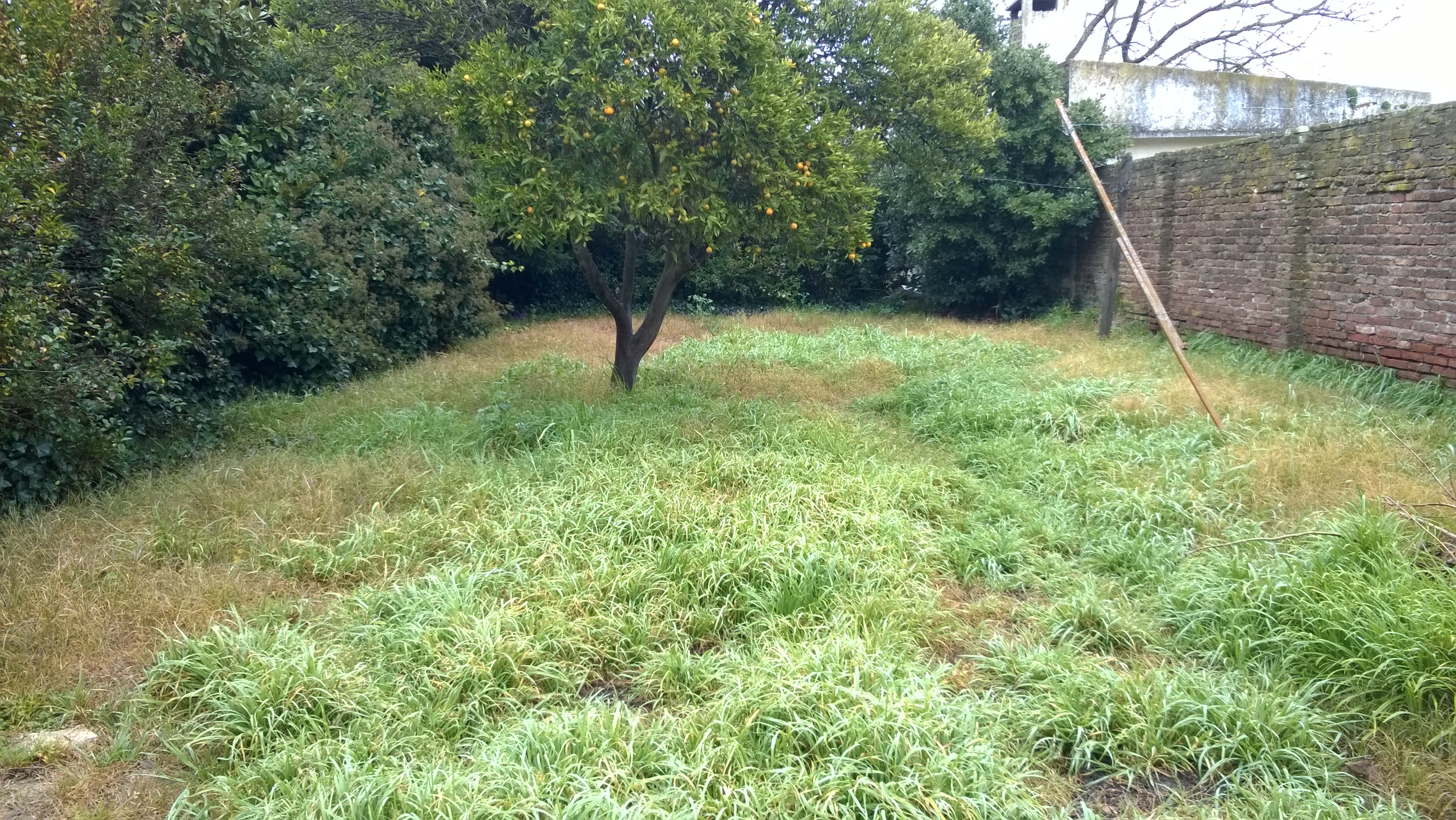 12 Nº 722 · Balcarce — foto 16