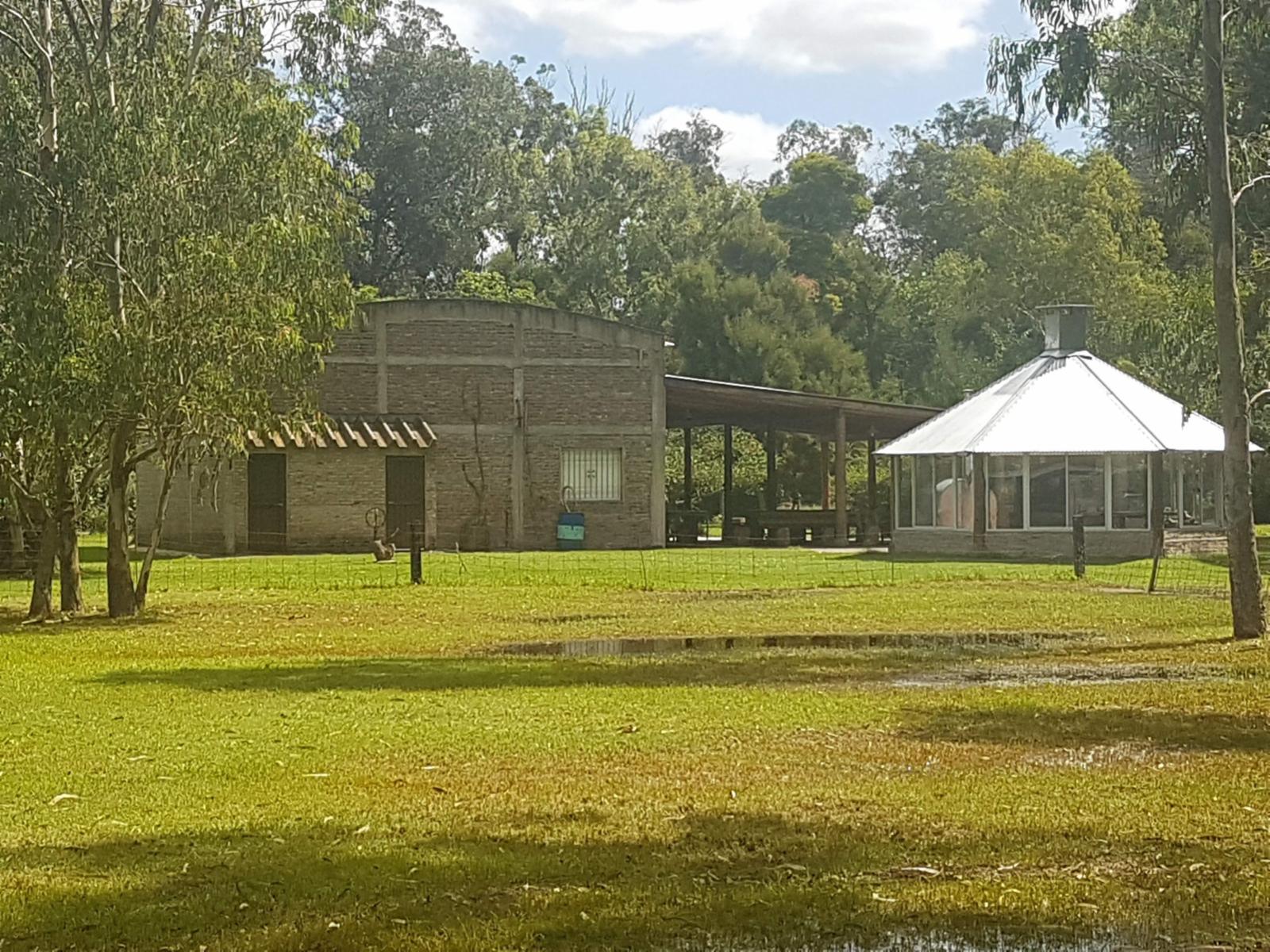 Camino Rural sin nombre · Punta Indio — foto 4