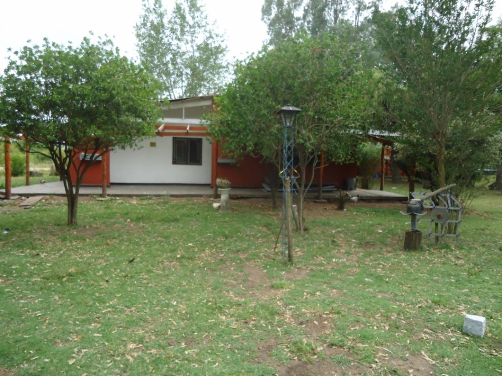 Sobre Ruta 91 · Las Flores — foto 3