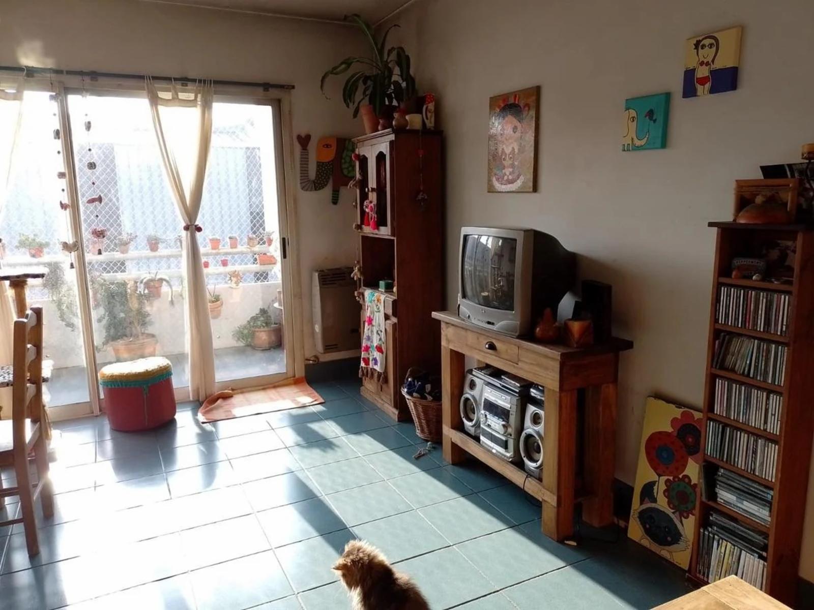 España 10 · Tigre — foto 4