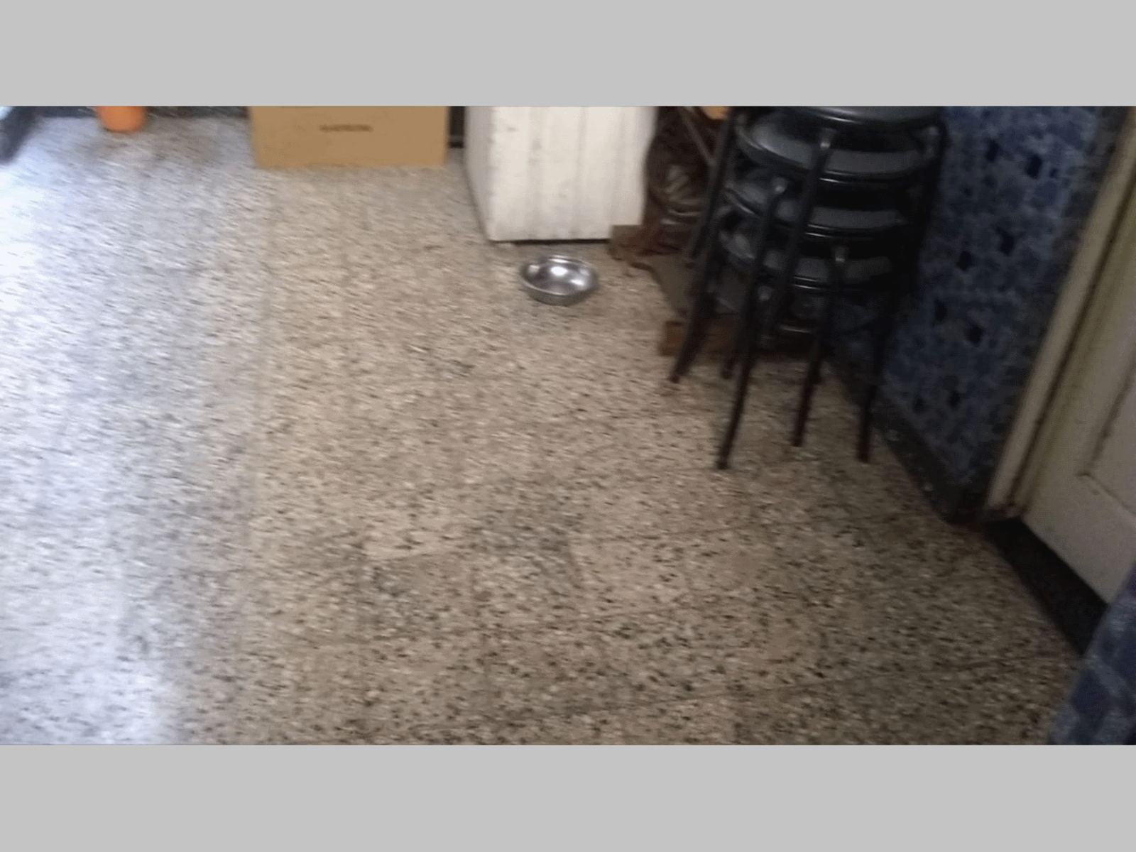 Ruiz de los Llanos 1300 · Monte Castro — foto 8