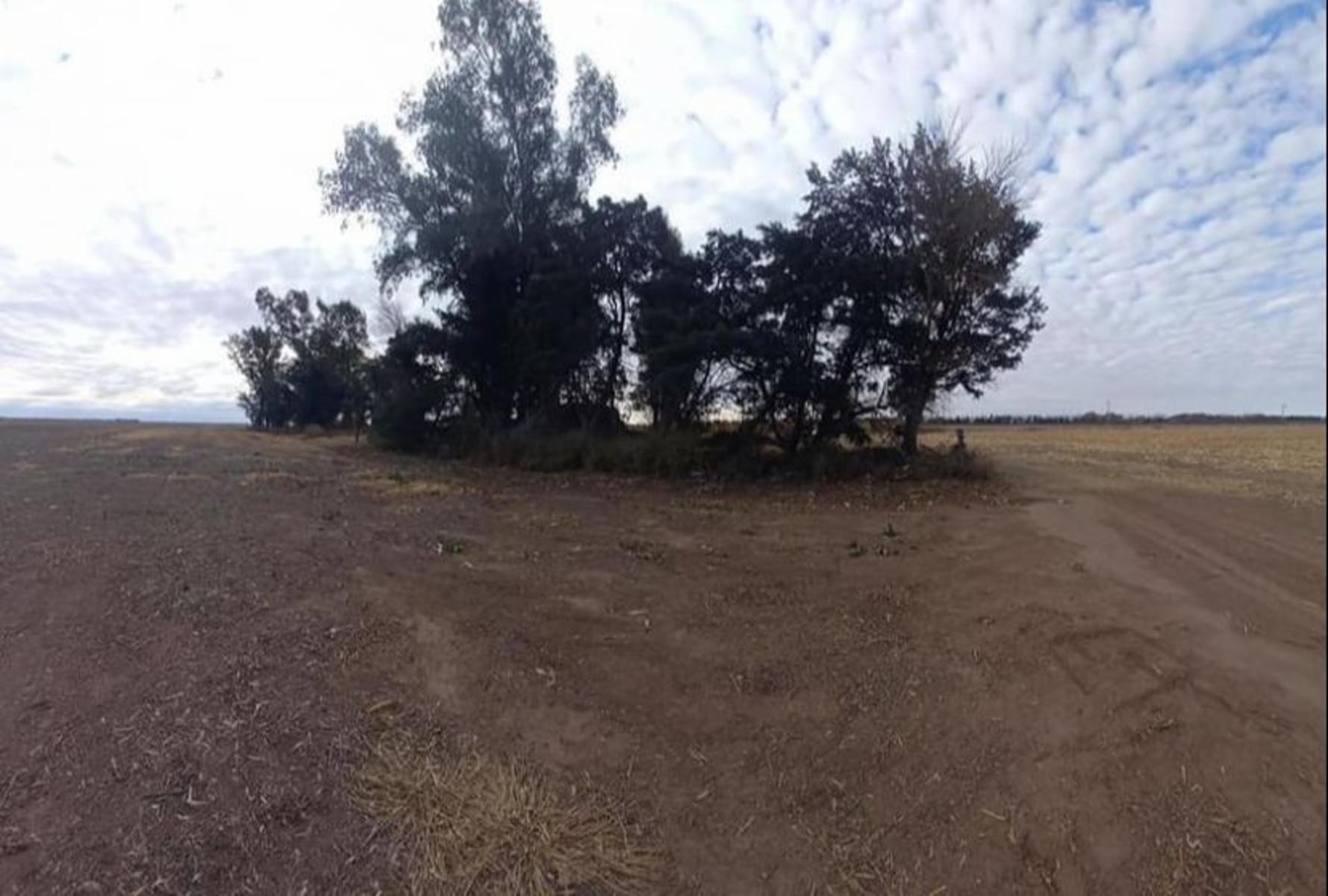 CAMPO EN VENTA HERNANDO
