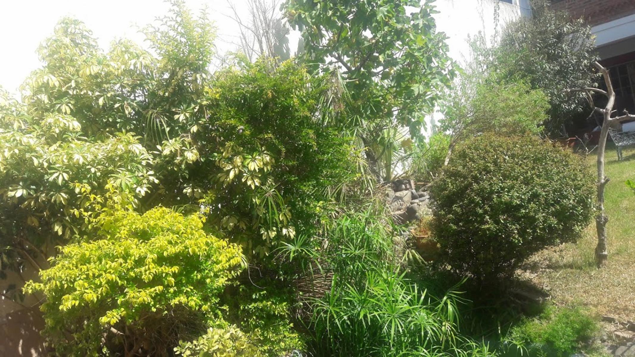 Araujo 500 · Villa Luro — foto 29