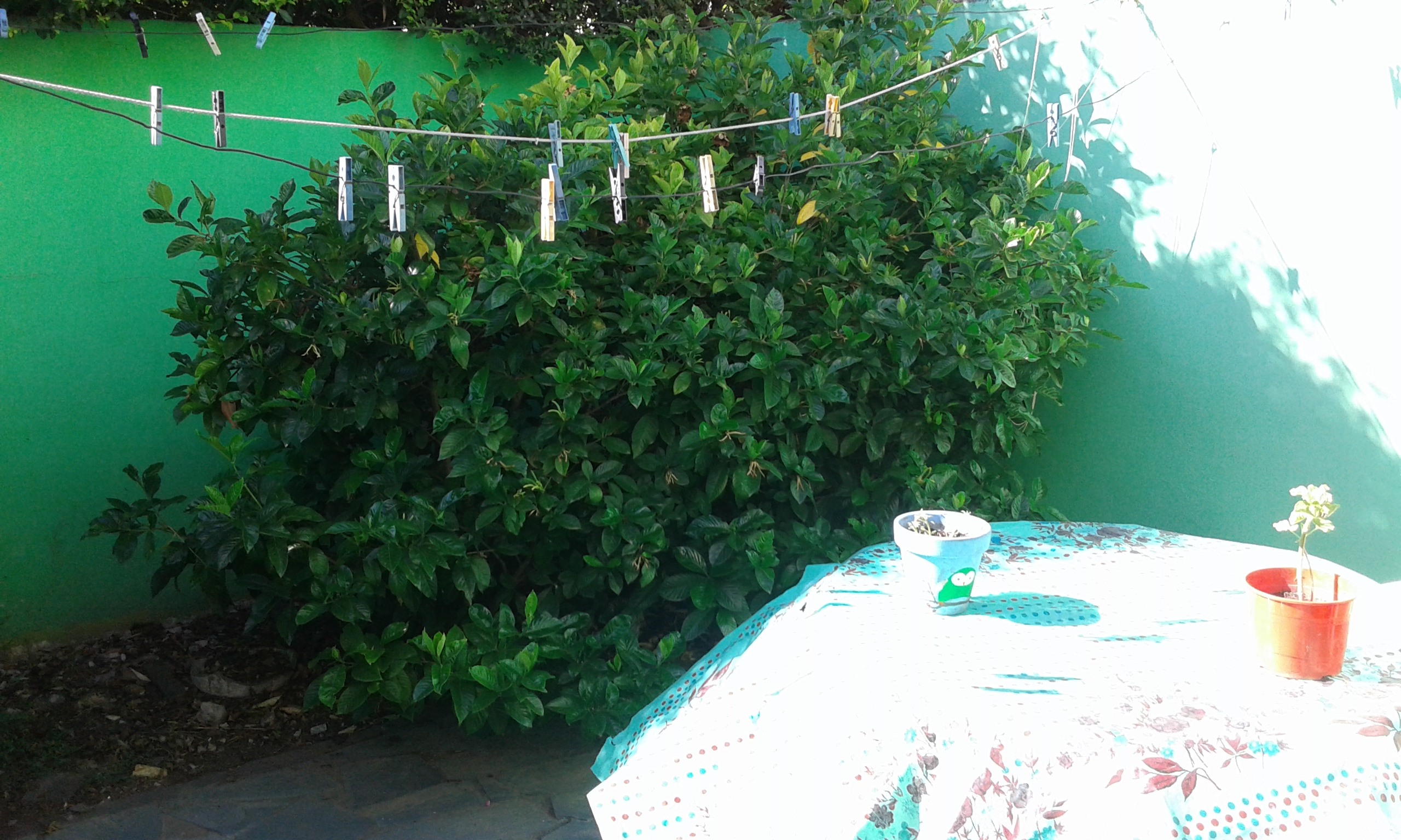 Guemes 477 · San Miguel — foto 15