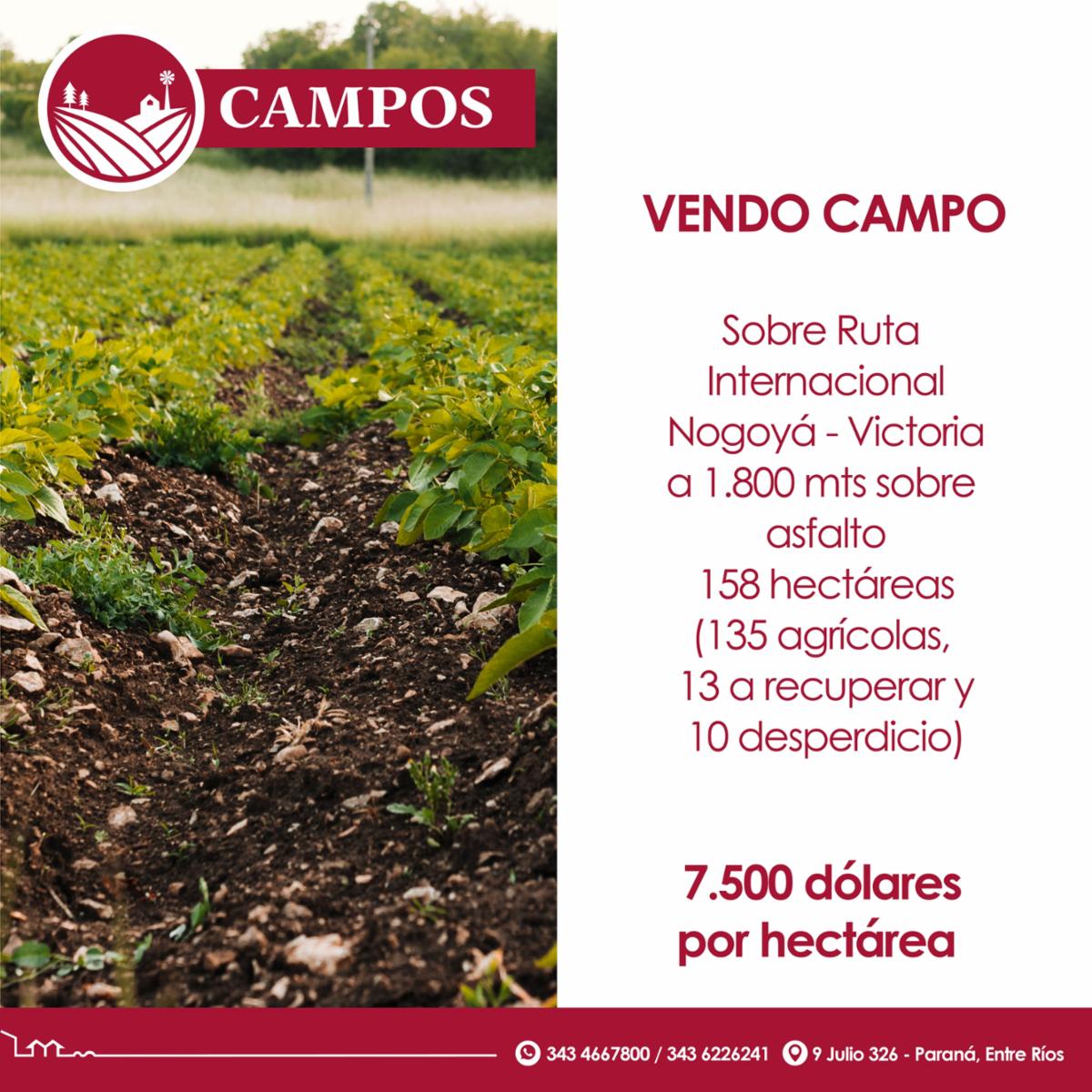Vendo campo sobre Ruta Internacional Nogoyá - Victoria