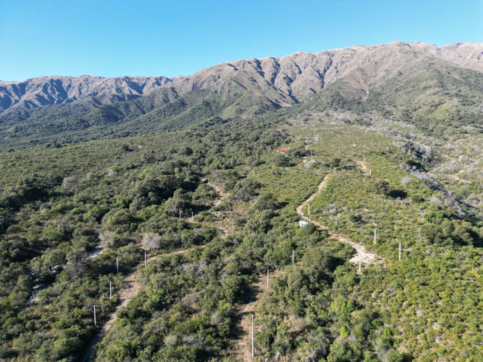 CARPINTERIA, SAN LUIS. CAMINO DEL CERRO · Junín — foto 6