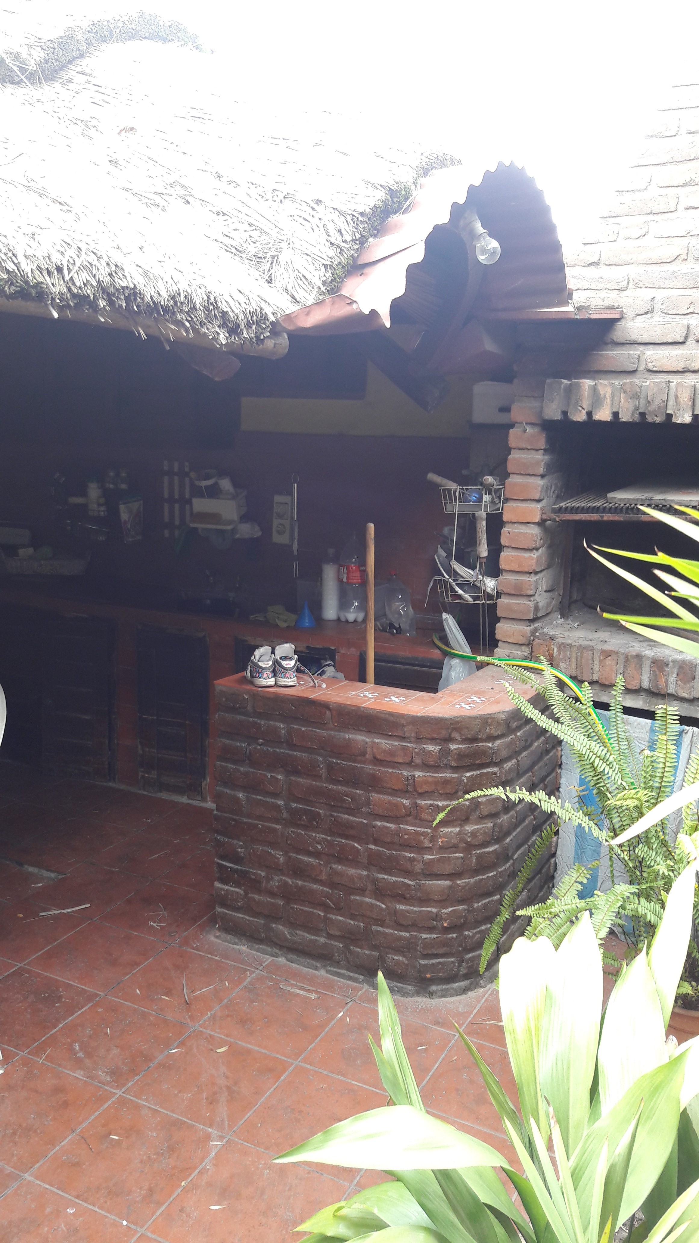 los cedros · Moreno — foto 20