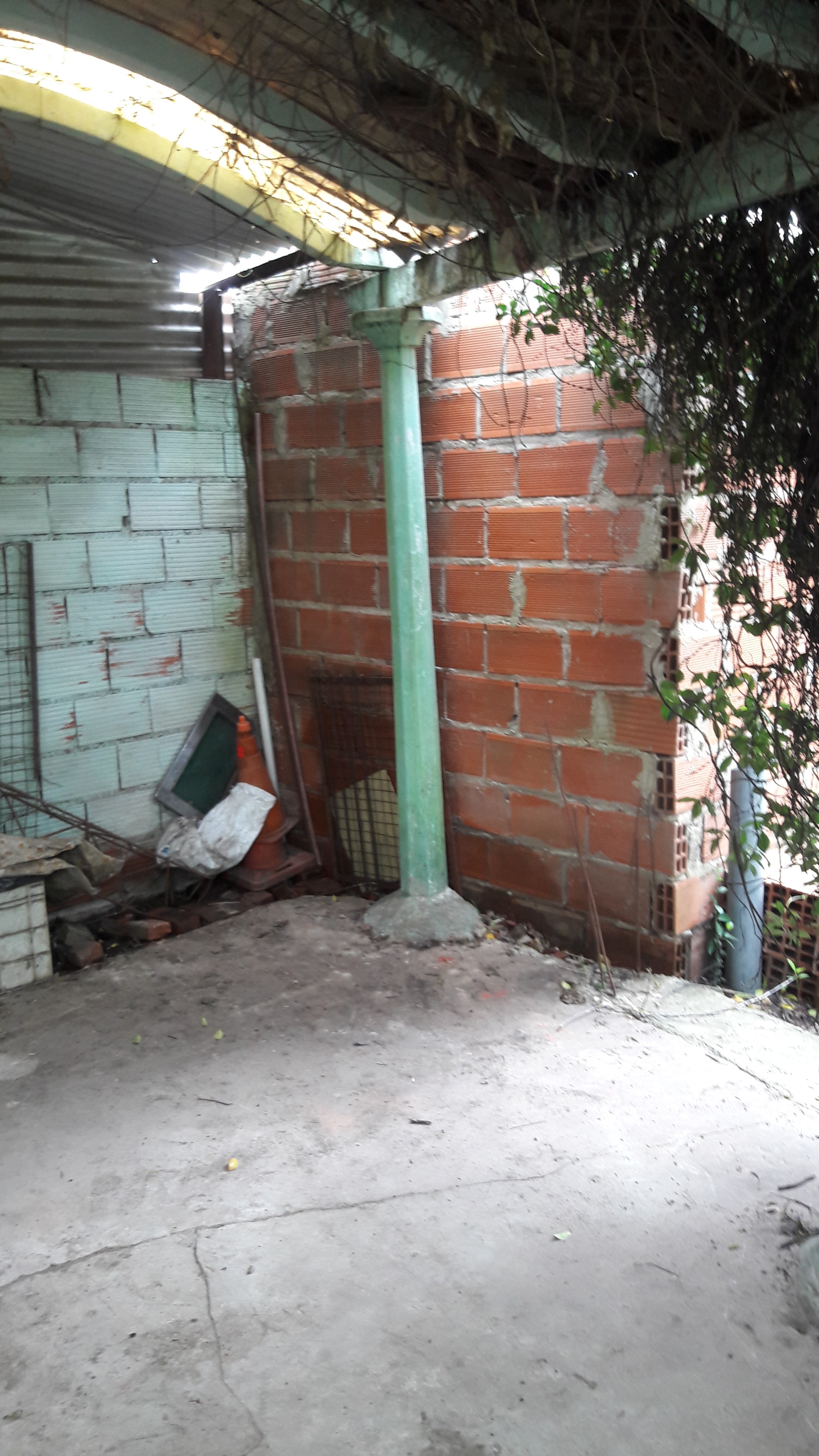 los cedros · Moreno — foto 23