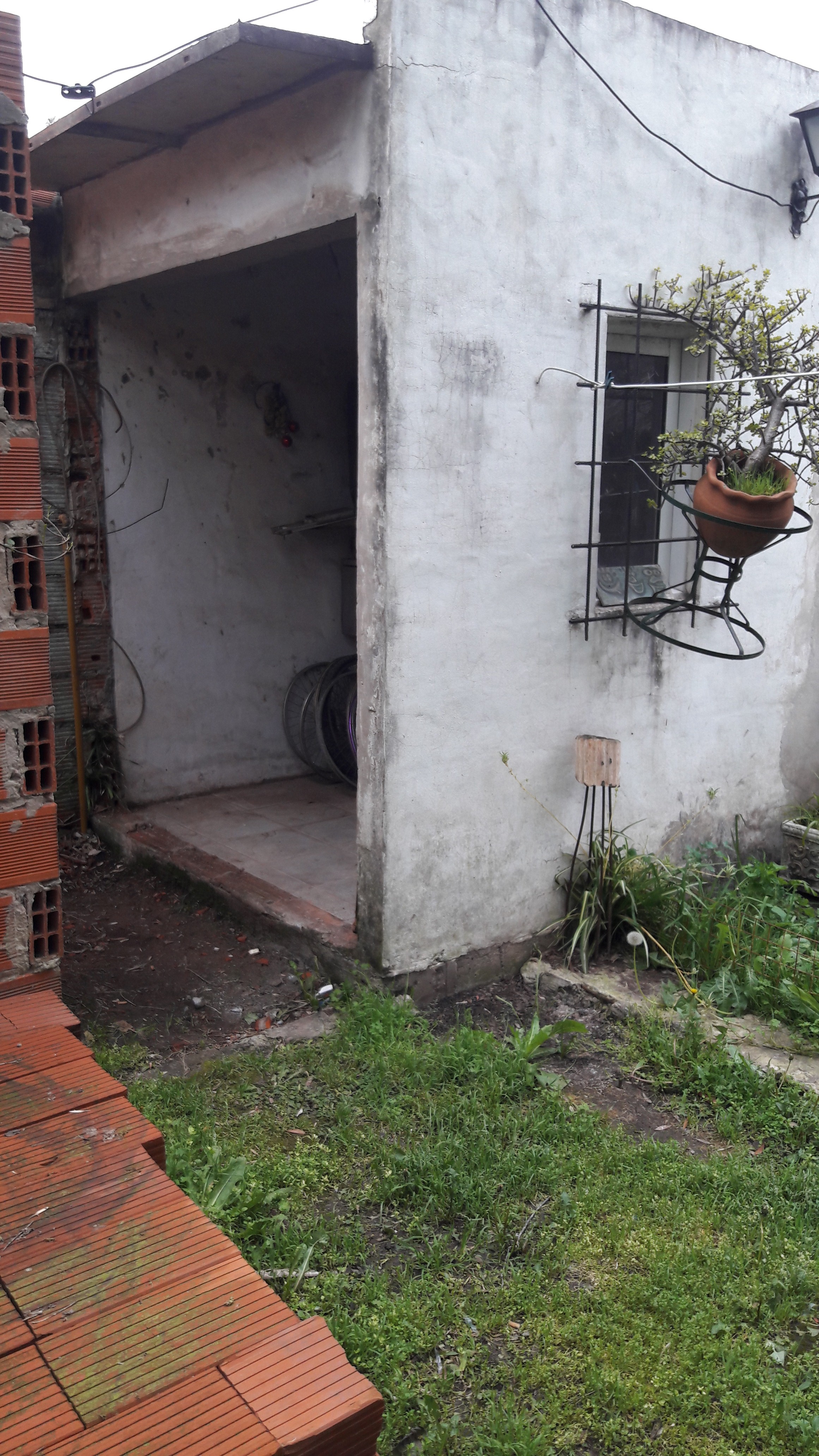 los cedros · Moreno — foto 24