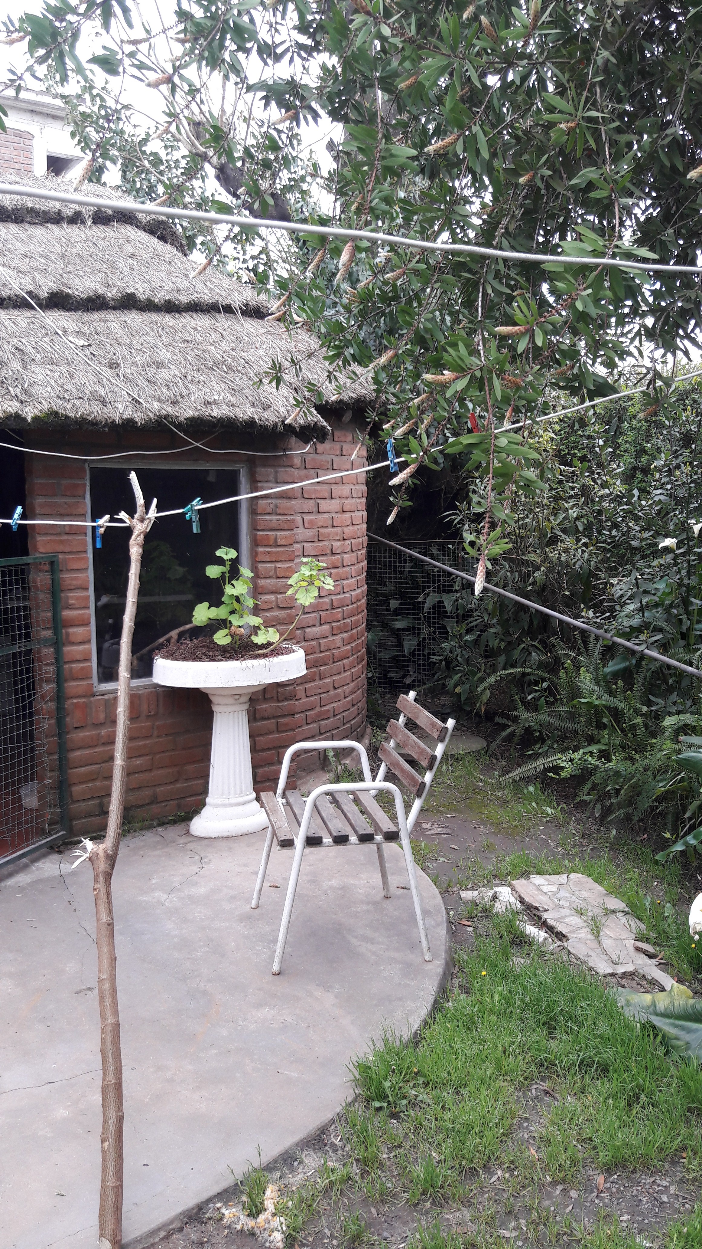los cedros · Moreno — foto 26