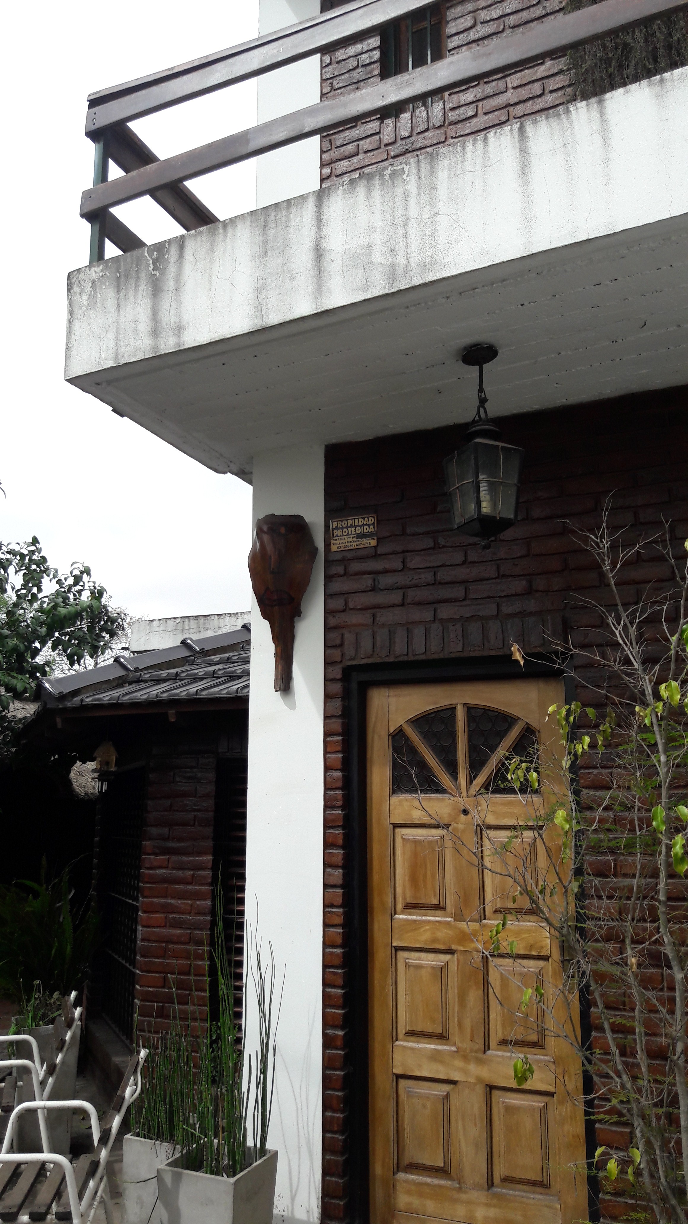 los cedros · Moreno — foto 28