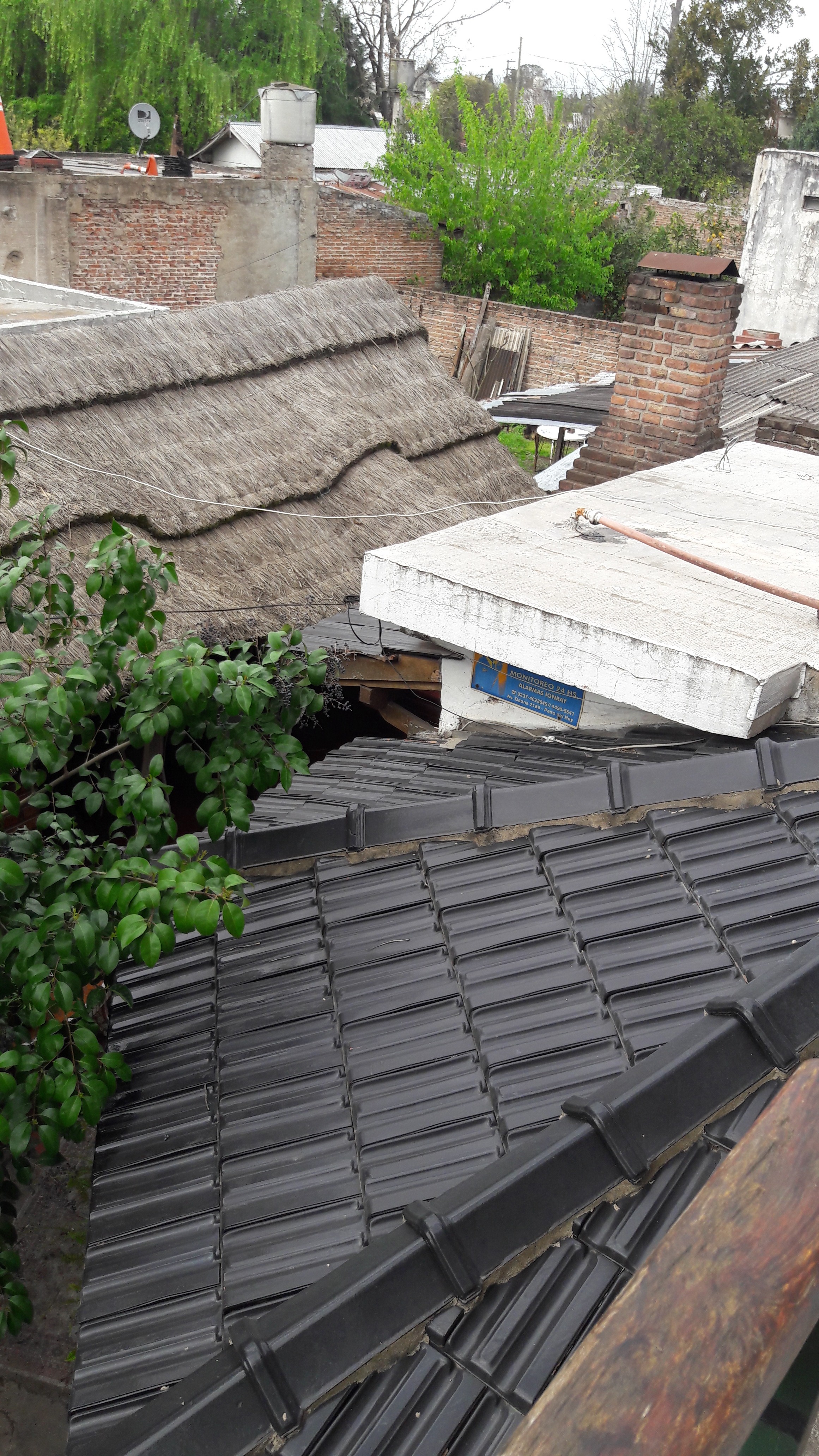 los cedros · Moreno — foto 10