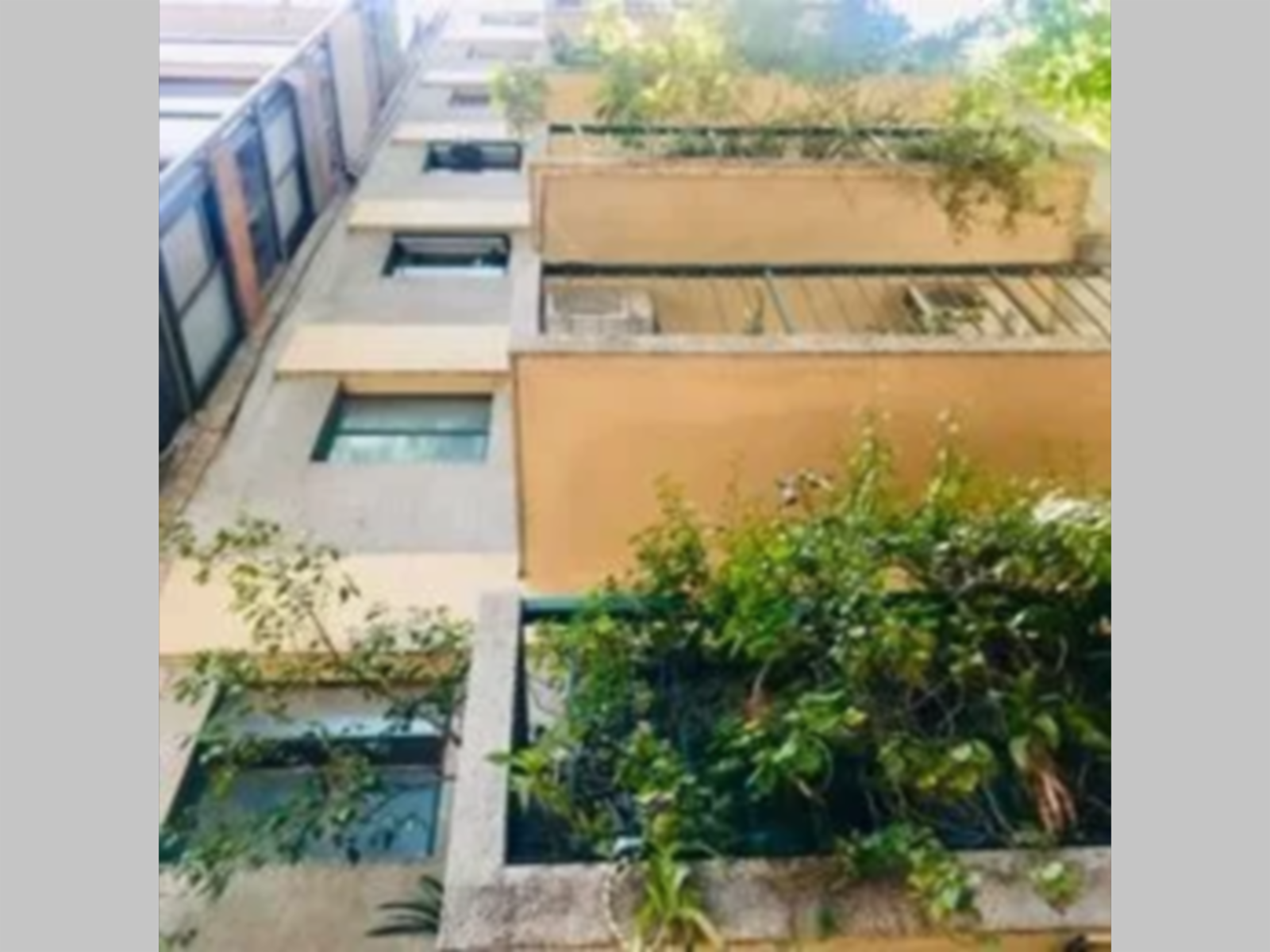 Medrano 600 · Almagro — foto 3