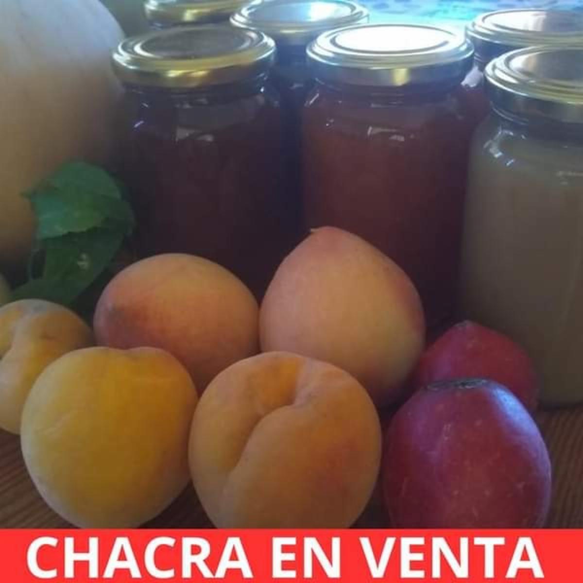 SANTA ROSA · Junín — foto 11