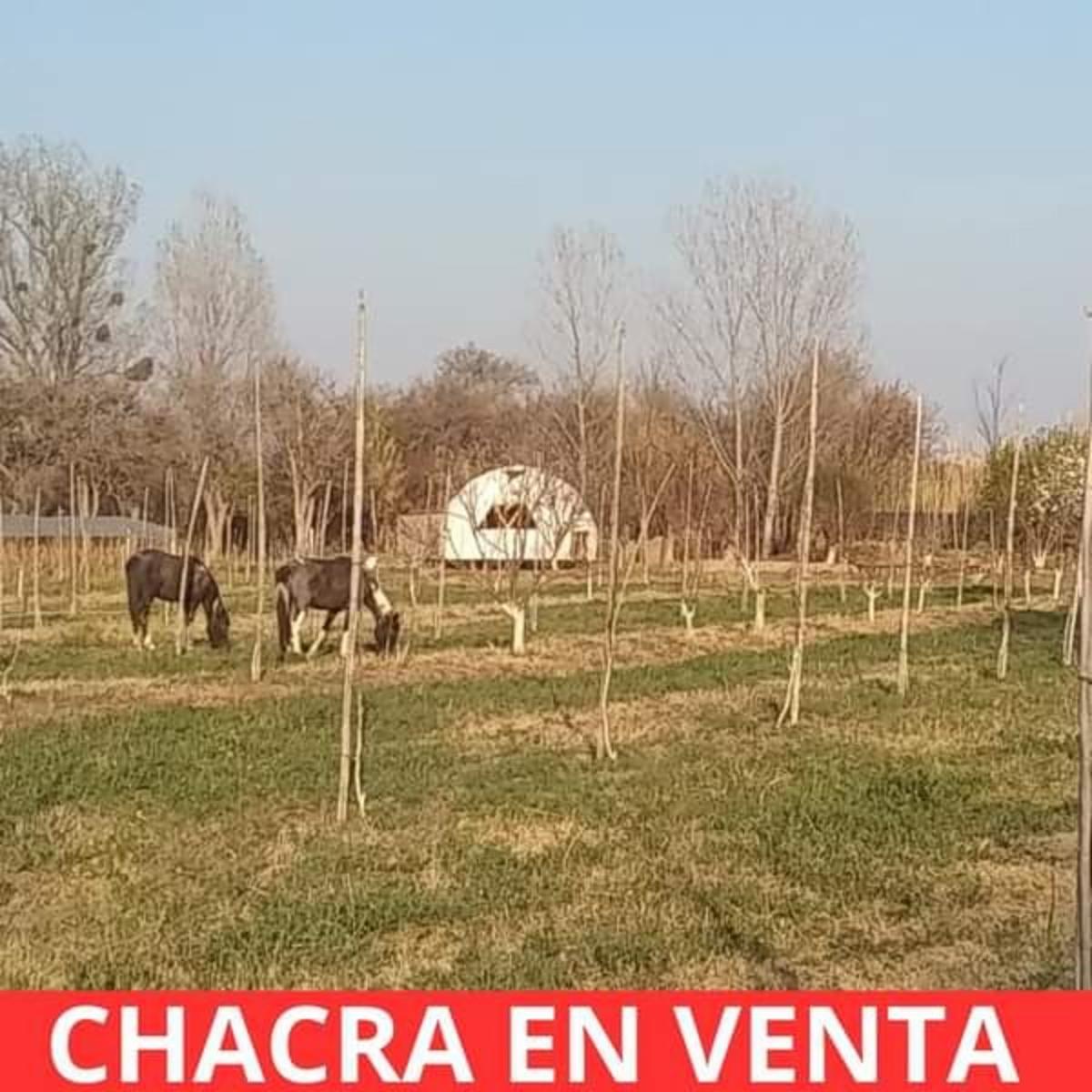 SANTA ROSA · Junín — foto 3