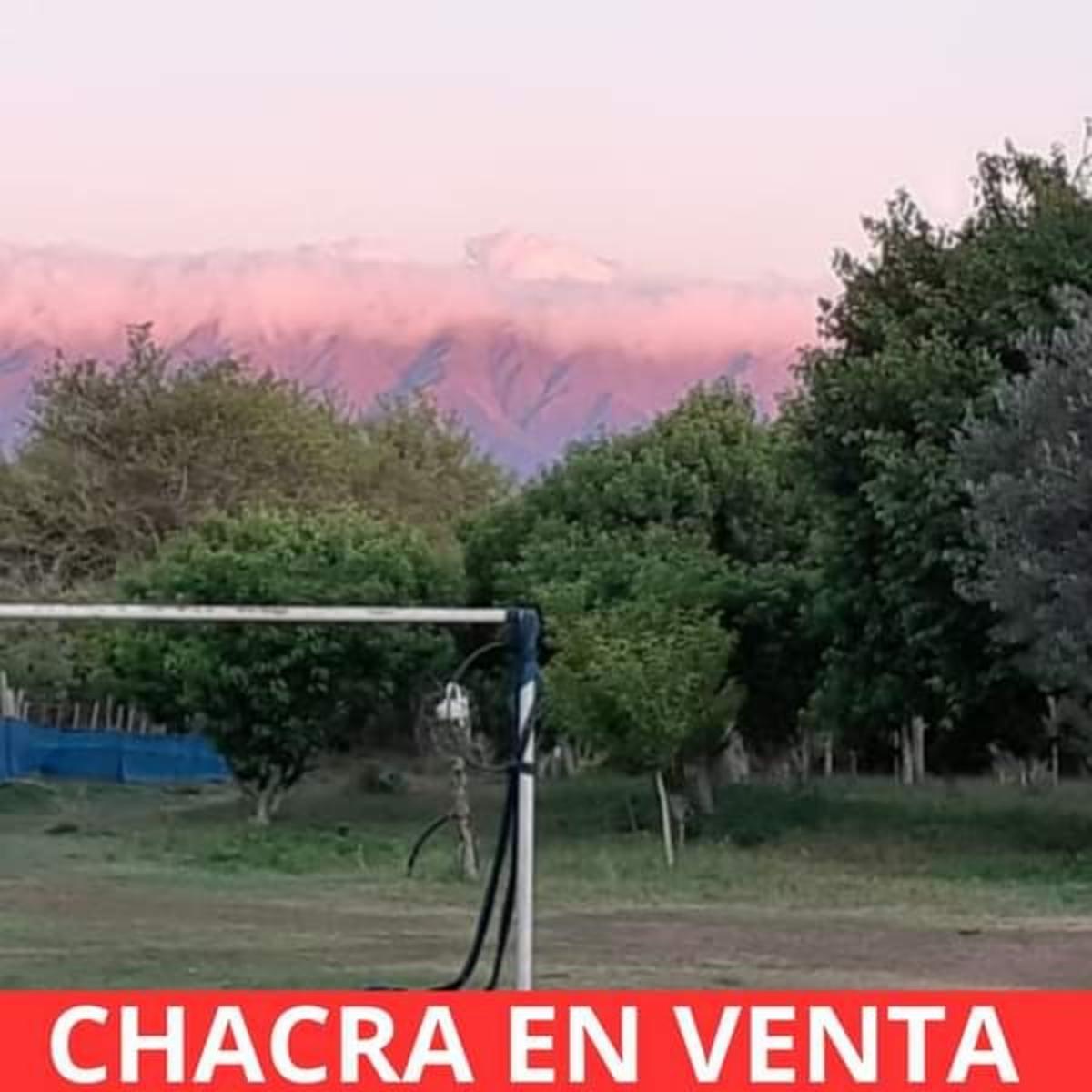SANTA ROSA · Junín — foto 7