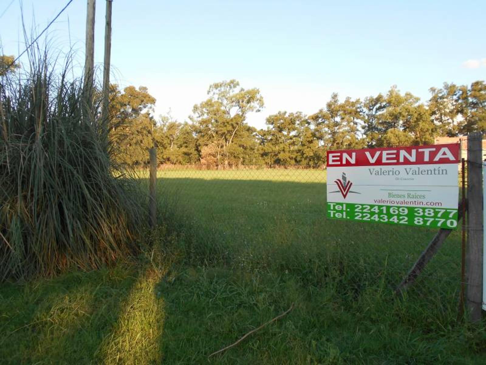 Lote Calle 135 100 -