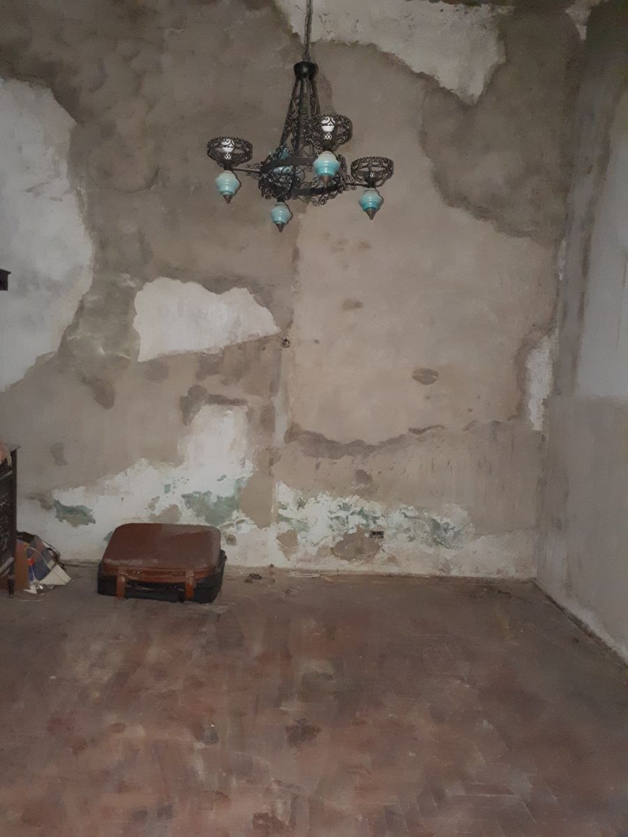 Renque Curá 1800 · Monte Castro — foto 4