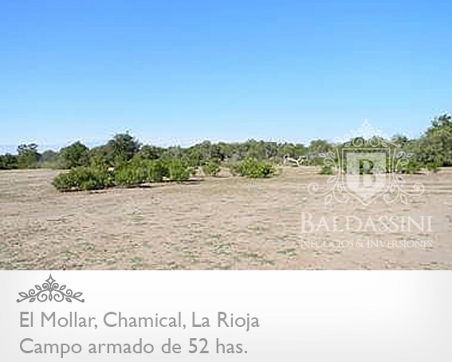 52 has. entre Ruta 79 y ruta 38 - El Mollar · Chamical — foto 11