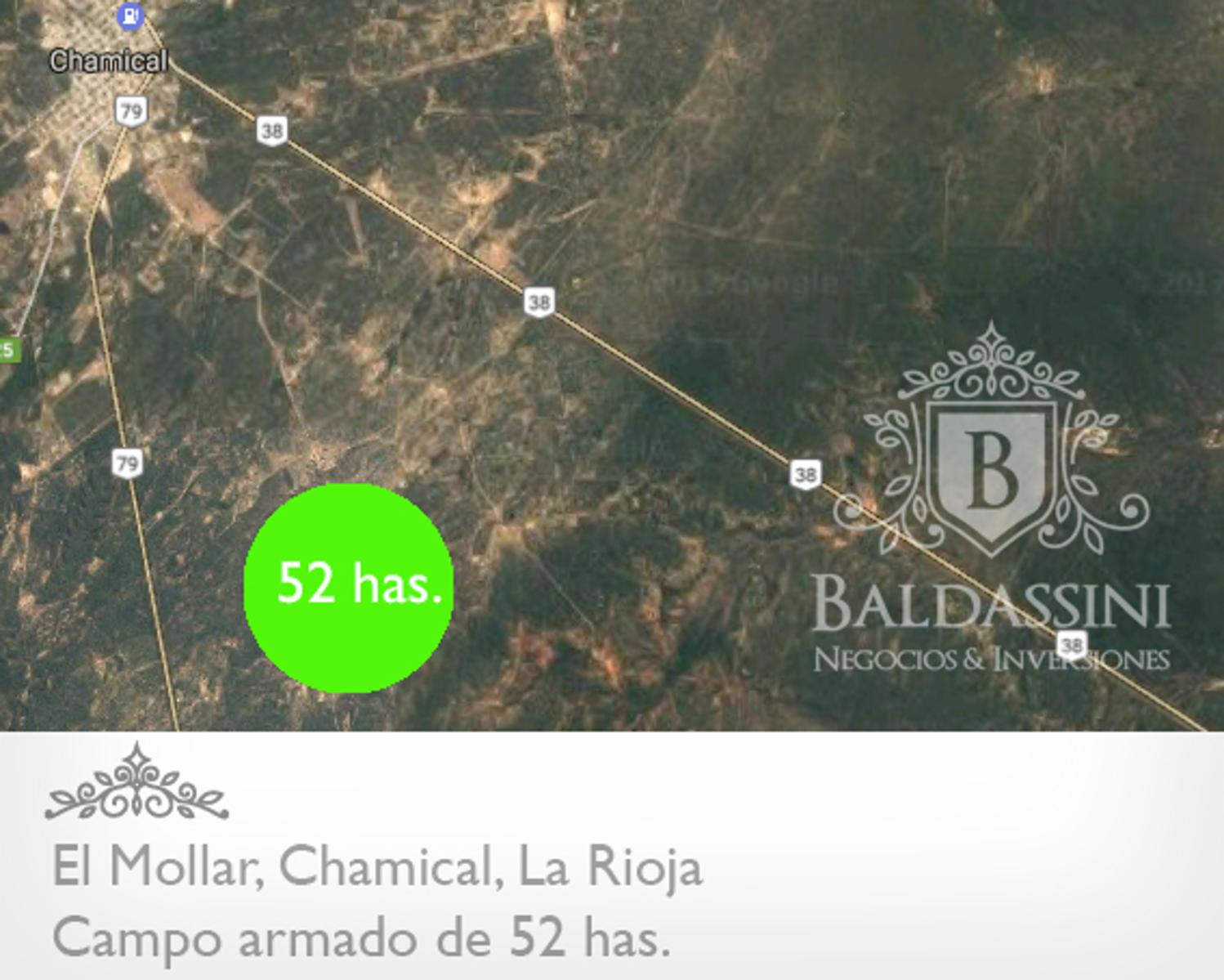 52 has. entre Ruta 79 y ruta 38 - El Mollar · Chamical — foto 12