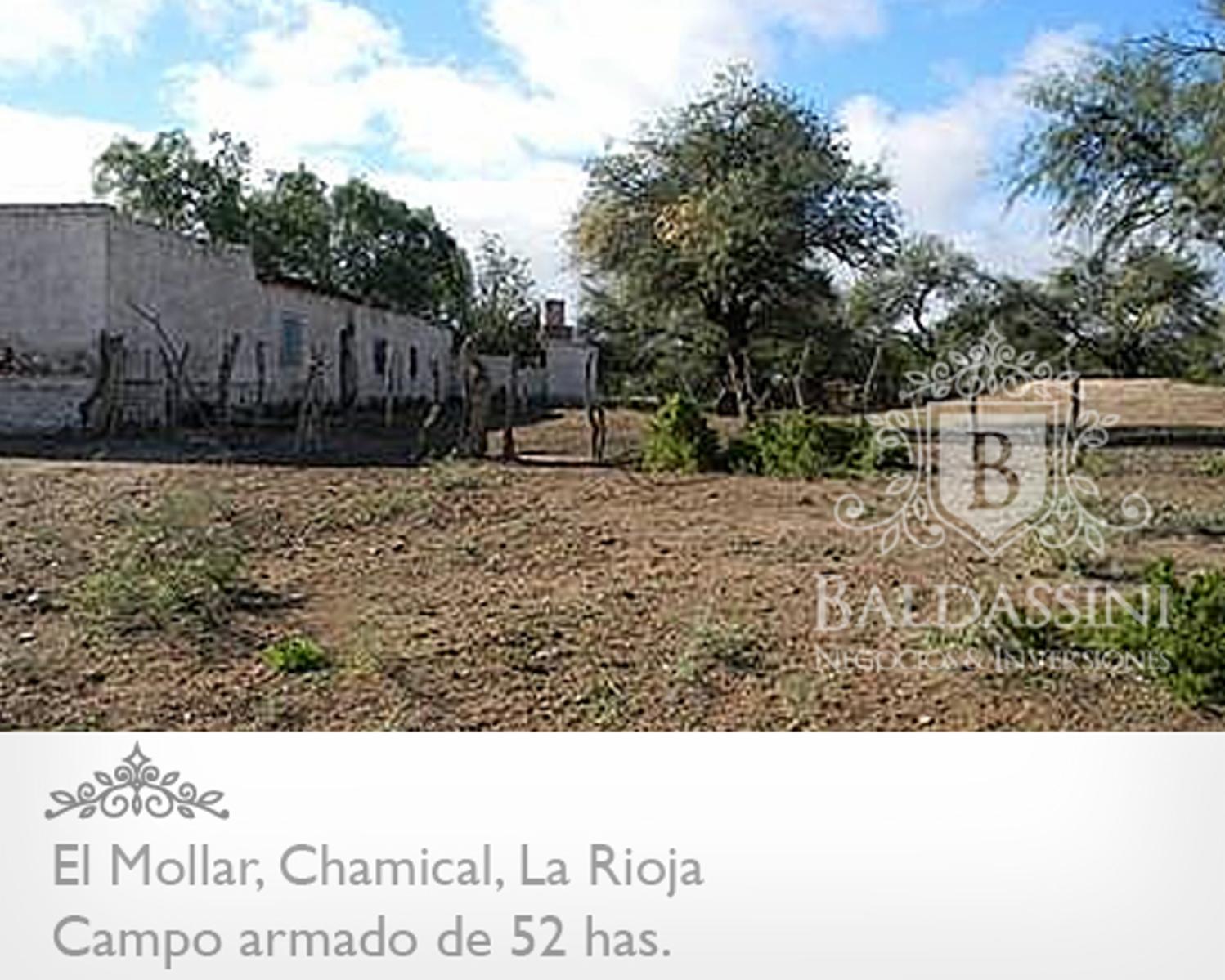 52 has. entre Ruta 79 y ruta 38 - El Mollar · Chamical — foto 4