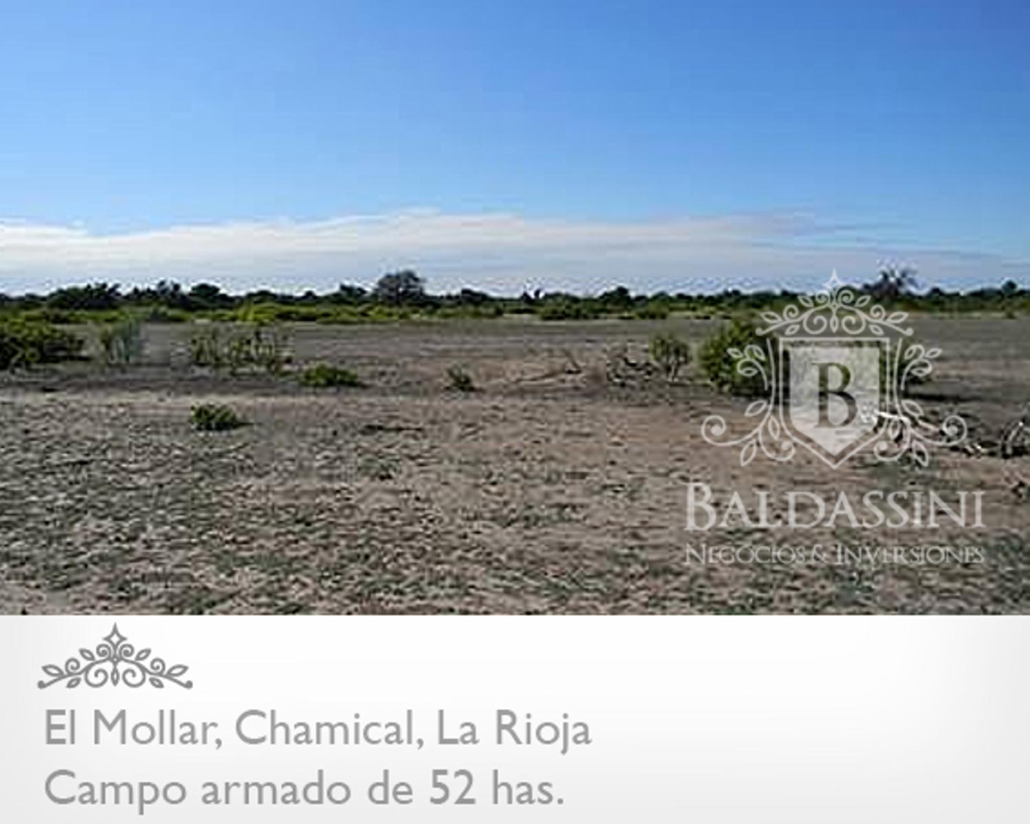 52 has. entre Ruta 79 y ruta 38 - El Mollar · Chamical — foto 5