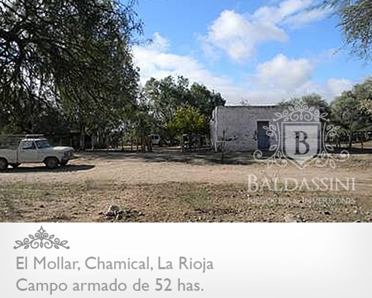 52 has. entre Ruta 79 y ruta 38 - El Mollar · Chamical — foto 7
