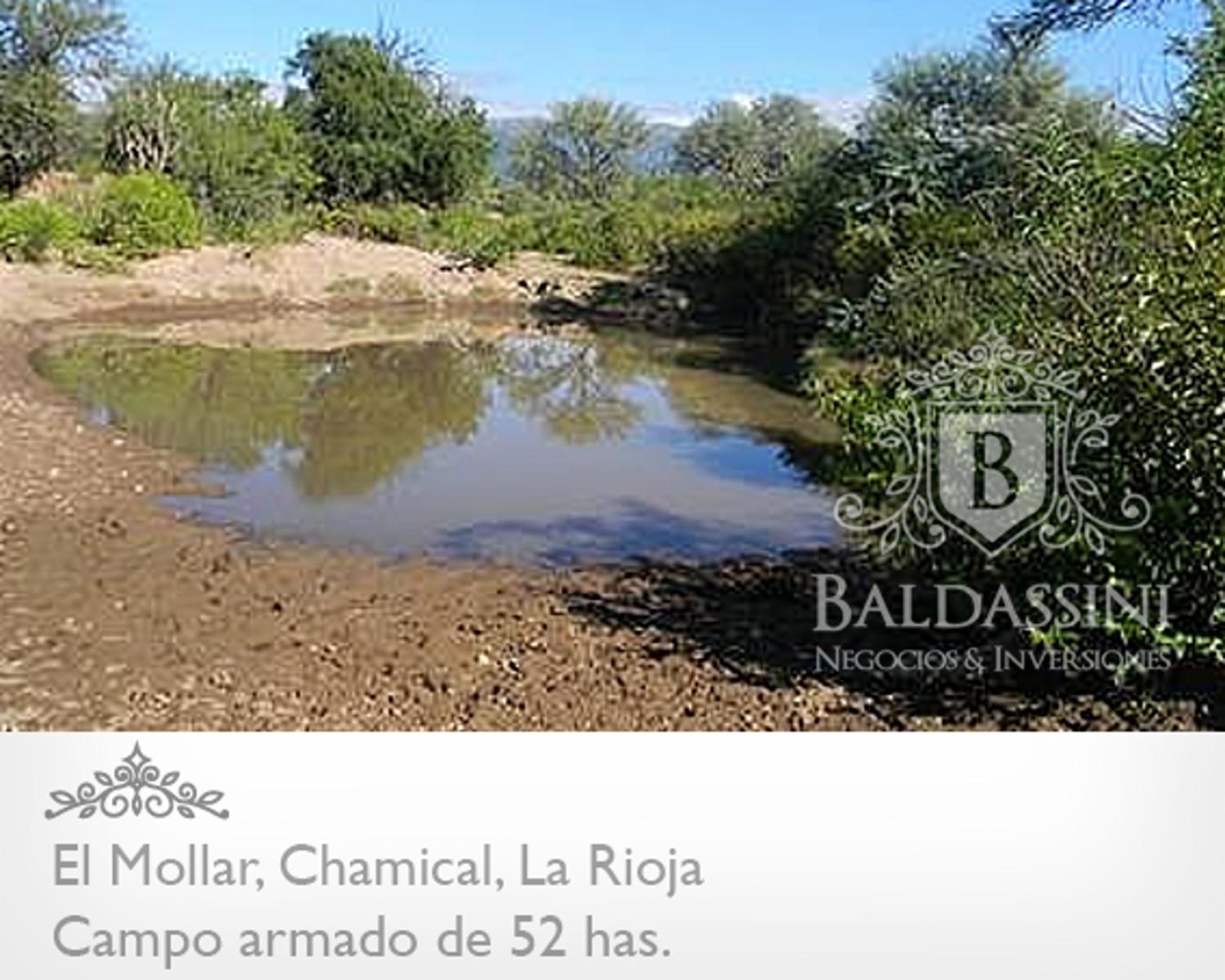 52 has. entre Ruta 79 y ruta 38 - El Mollar · Chamical — foto 8