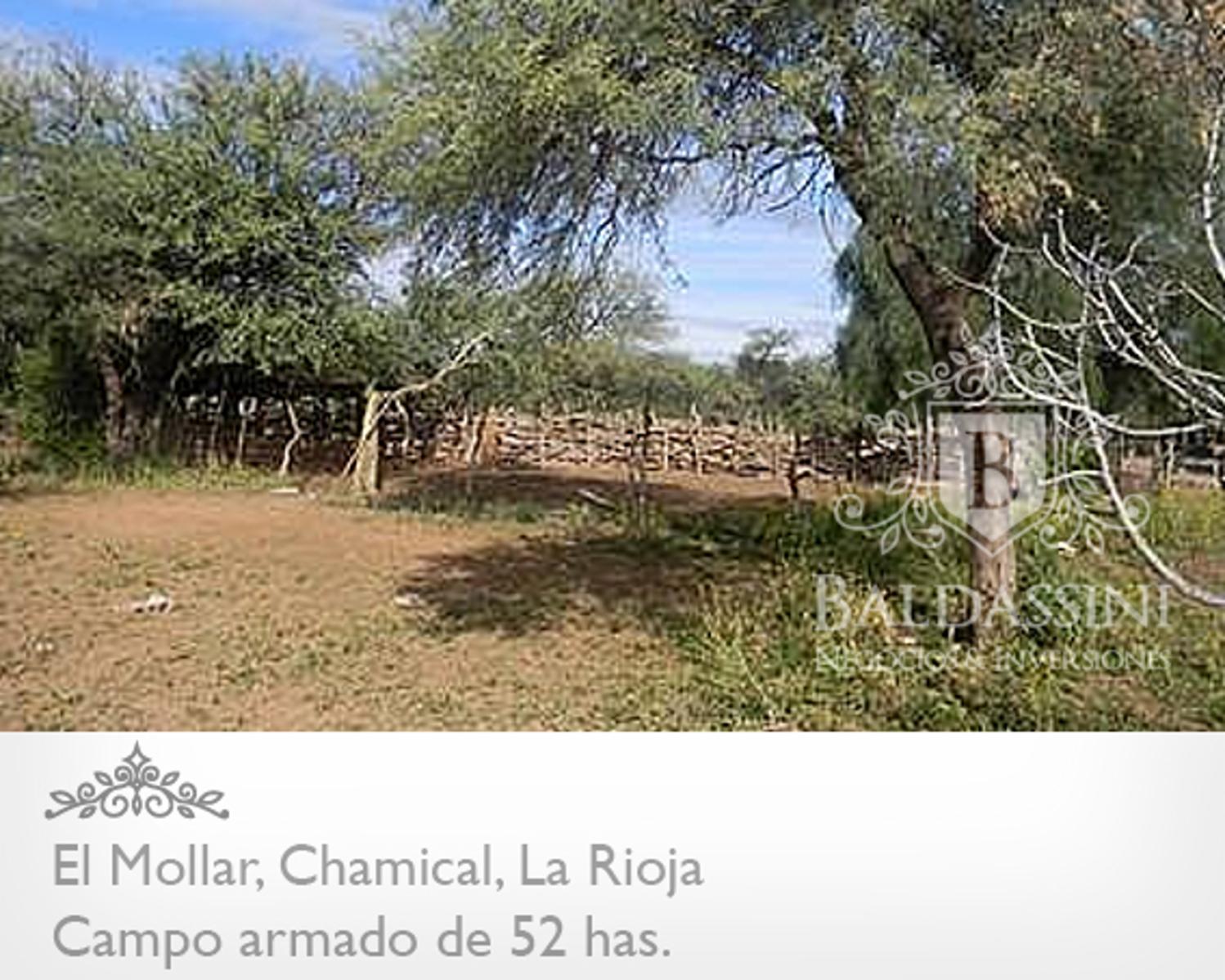 52 has. entre Ruta 79 y ruta 38 - El Mollar · Chamical — foto 9