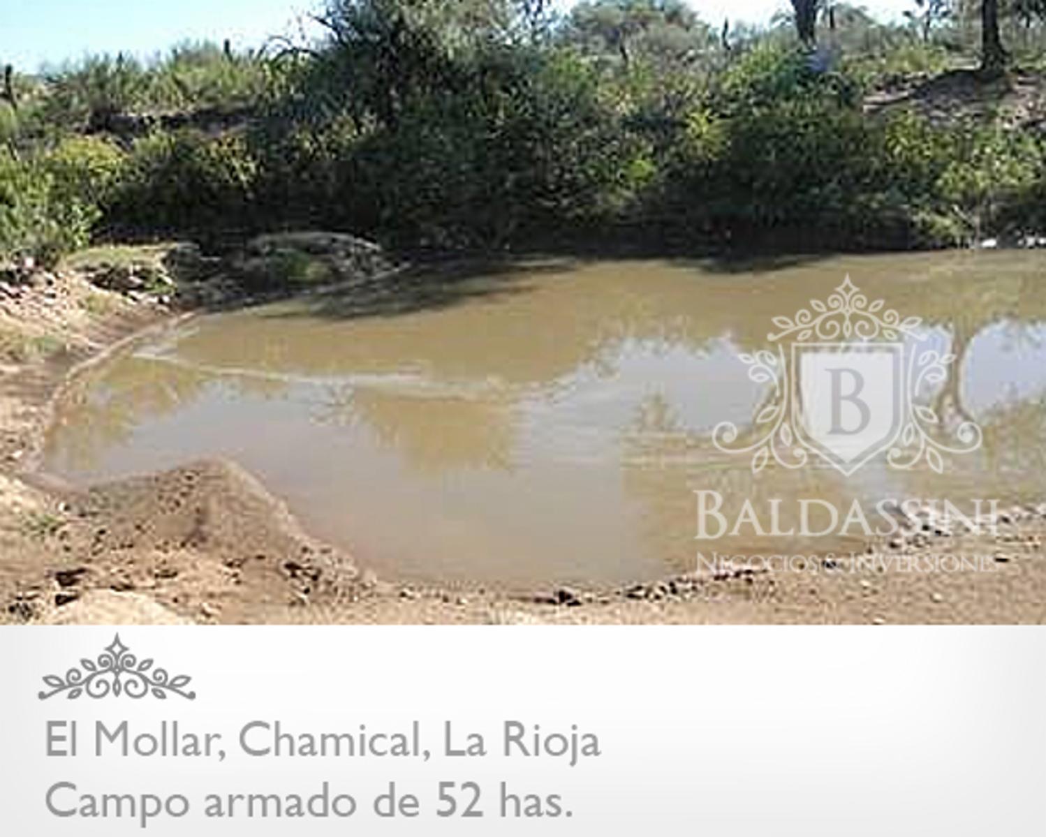 52 has. entre Ruta 79 y ruta 38 - El Mollar · Chamical — foto 10
