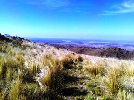 Ruta Villorco · Coronel Pringles — foto 18