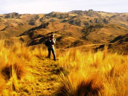 Ruta Villorco · Coronel Pringles — foto 19