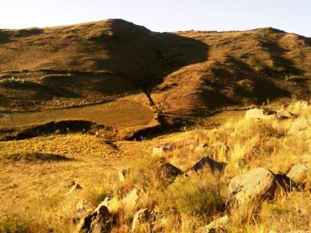 Ruta Villorco · Coronel Pringles — foto 21