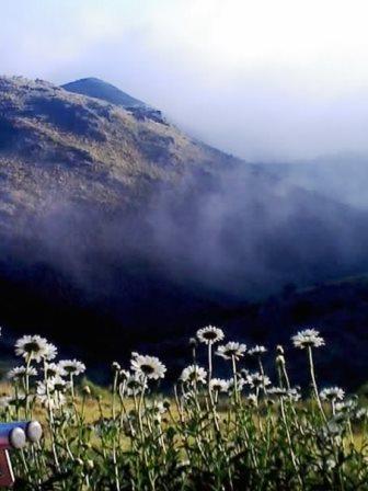 Ruta Villorco · Coronel Pringles — foto 22